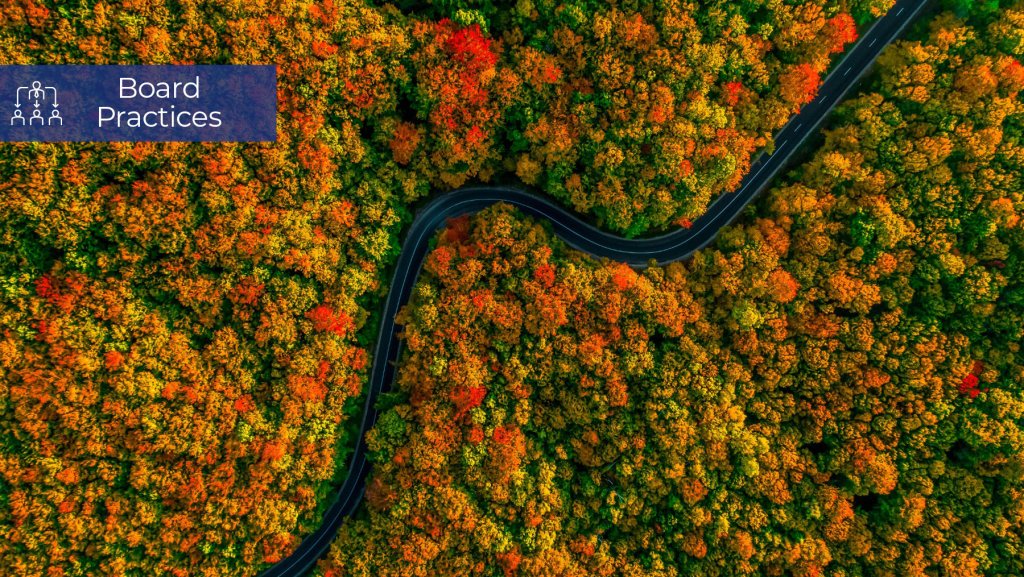 Boards in a Darwinistic age - Global Board Survey 2024